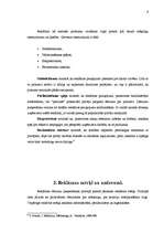 Referāts 'Reklāma un tās būtība', 9.