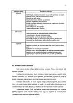 Referāts 'Reklāma un tās būtība', 11.