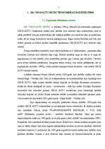 Diplomdarbs 'Finansiālā stāvokļa analīze SIA "Gros Auto Grupa"', 7.