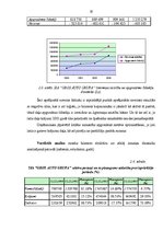 Diplomdarbs 'Finansiālā stāvokļa analīze SIA "Gros Auto Grupa"', 20.