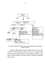 Diplomdarbs 'Finansiālā stāvokļa analīze SIA "Gros Auto Grupa"', 25.