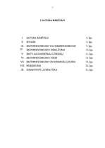 Referāts 'Datornoziegumi un to vieta Latvijas krimināllikumā', 2.