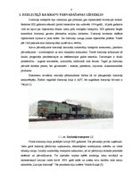 Referāts 'Daugavpils šķirošanas stacijas darba organizācijas analīze un modernizācija', 6.