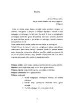 Referāts 'Gribas attīstības veicināšana vidējā vecumposmā rotaļu darbībā', 3.