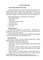 Referāts 'Netiešo nodokļu būtība, to loma valsts budžetā', 5.