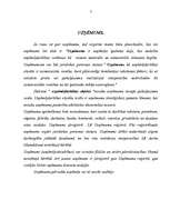 Referāts 'Uzņēmējdarbība Latvijā', 7.