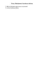 Referāts 'Dīzeļmotoru barošanas sistēmas', 1.