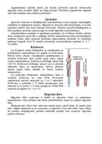 Referāts 'Dīzeļmotoru barošanas sistēmas', 4.