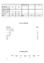 Biznesa plāns 'Skolēnu mācību uzņēmuma biznesa plāns', 12.