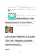 Referāts 'Astroloģijas nozīme cilvēka dzīvē', 5.