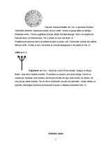 Referāts 'Astroloģijas nozīme cilvēka dzīvē', 6.