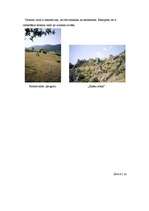 Eseja 'Tūrisms Islandē, Krimā un Karību salās', 6.