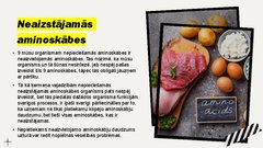 Prezentācija 'Olbaltumvielas un tauki', 3.