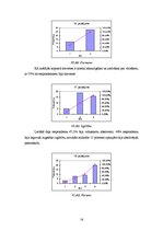 Prakses atskaite 'Carnikava', 16.