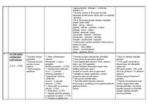 Konspekts 'Latviešu valodnieki', 5.