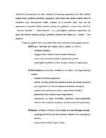 Referāts 'Netradicionālie reliģijas kustības veidi', 14.