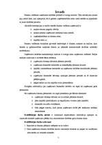 Diplomdarbs 'Finansiālās darbības analīze SIA “Elegants RDI”', 7.