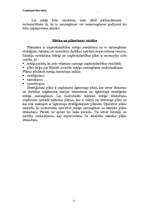 Referāts 'Uzņēmējdarbības mērķi', 11.