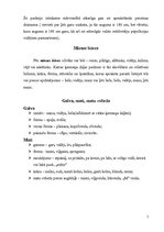 Referāts 'Cilvēka ārējās pazīmes un to klasifikācija', 5.