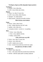 Referāts 'Cilvēka ārējās pazīmes un to klasifikācija', 7.