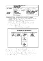 Konspekts 'Transporta loģistika', 2.