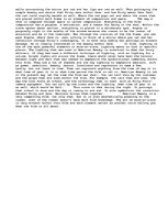 Eseja 'American Beauty: Mise-en-Scene', 2.