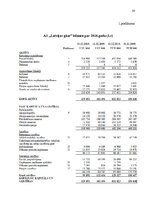 Referāts 'Uzņēmuma likviditātes un maksātspējas analīze', 19.