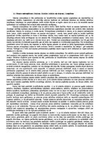 Referāts 'Krimināltiesības (visparīgā un sevišķā daļa)', 29.