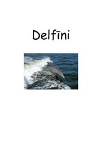 Konspekts 'Delfīni', 1.