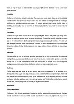 Konspekts 'Delfīni', 3.