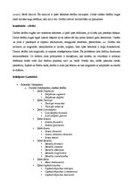 Konspekts 'Delfīni', 4.