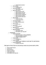 Konspekts 'Delfīni', 5.