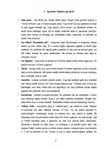 Referāts 'Ceļojums uz Kanāriju salām', 6.