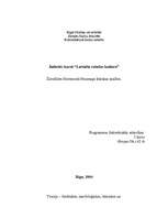 Referāts 'Žurnālista Normunda Naumaņa leksikas analīze', 1.