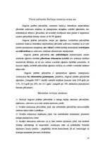 Referāts 'Konstitucionālā kontrole, Valsts kontrole', 16.