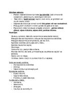 Konspekts 'Somatoformā veģetatīvā distonija', 5.