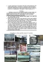 Konspekts 'Klimatiskās katastrofas pasaulē un Latvijā', 3.