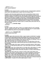 Referāts 'Rotaļu un spēļu rokasgrāmata pirmsskolas vecuma bērnam', 2.