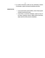 Referāts 'Kredīta tirgus Latvijā', 22.