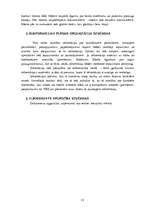 Prakses atskaite 'Prakses atskaite AS "Baltic Trust Bank" 2006./2007.gadā', 15.