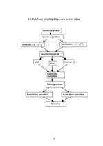 Referāts 'Ēdināšanas uzņēmuma "X" tehnoloģiskā projekta izstrāde', 14.