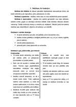 Referāts 'Reklāmas ietekme uz patērētāju', 6.