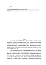 Referāts 'Vizuālā komunikācija kā pārliecināšanas forma interneta medijos', 3.