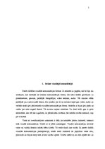 Referāts 'Vizuālā komunikācija kā pārliecināšanas forma interneta medijos', 5.