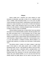 Referāts 'Vizuālā komunikācija kā pārliecināšanas forma interneta medijos', 26.