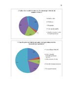 Referāts 'Vizuālā komunikācija kā pārliecināšanas forma interneta medijos', 32.