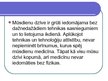 Prezentācija 'Fizika - mūsdienu medicīnas sastāvdaļa', 3.