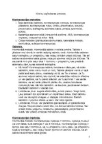 Konspekts 'Vecmātes izglītojošās darbības modelis', 6.