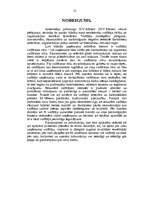 Referāts 'Vadītāja loma uzņēmuma darbībā', 13.