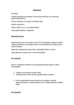 Konspekts 'Klīniskā pataloģija - Celiakija, Kairinātu zarnu sindroms, Aknas un to pataloģij', 1.